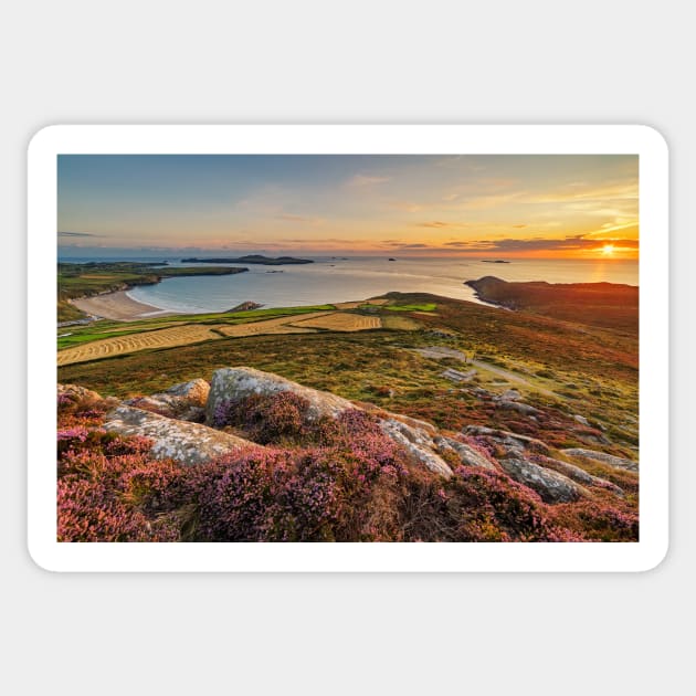 Whitesands Bay and Ramsey Island, Pembrokeshire Sticker by dasantillo